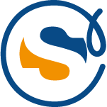 Logo Encuestas Sinergy